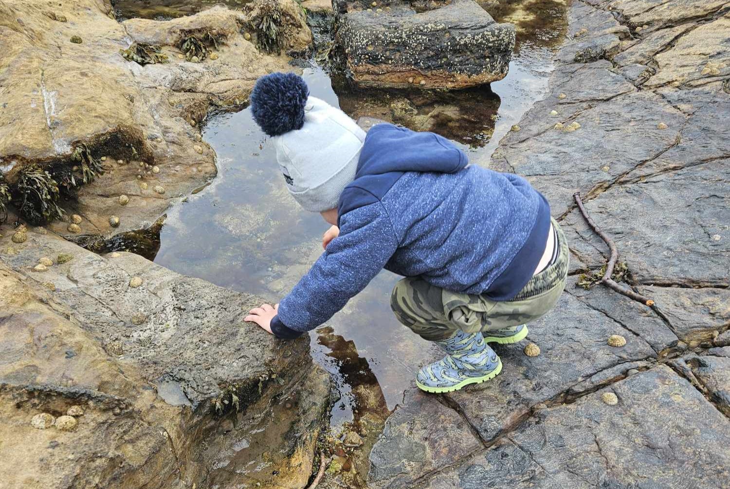 Exploring Rockpools – Outdoor Activities